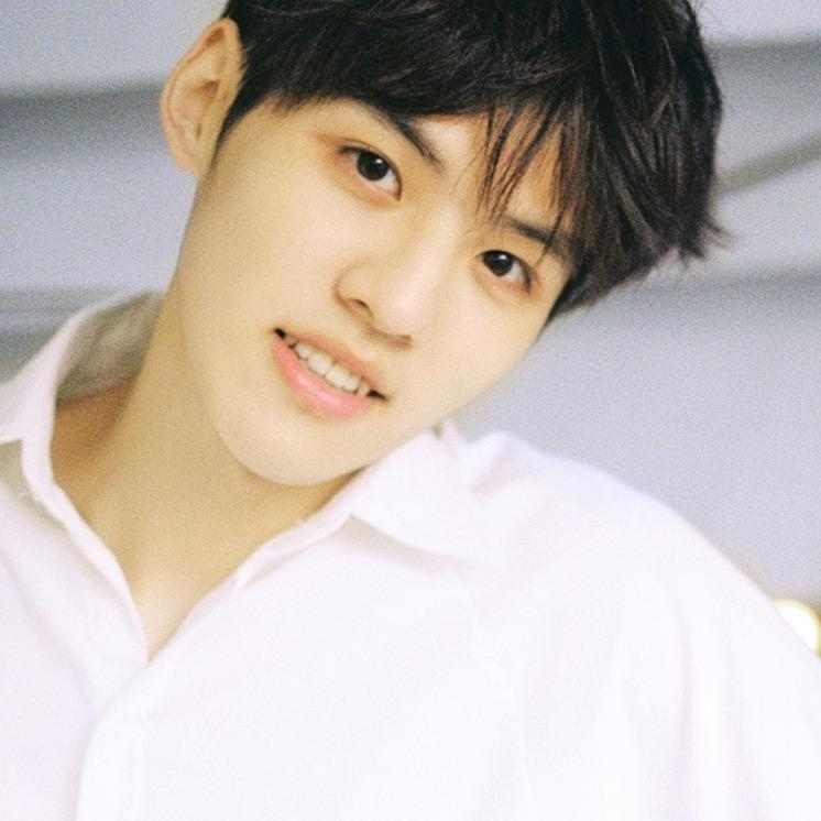 { blogger.collection_name }